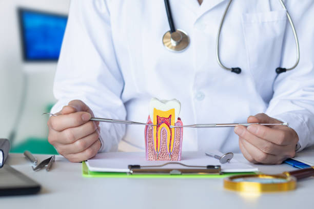 Best Emergency Dental Services for Seniors in Melrose Park, IL
